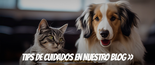 Te ayudamos en el cuidado de tu mascota